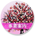 導入フロー